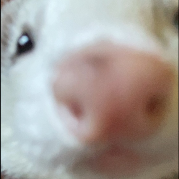 yo! - Picture 5 of 5